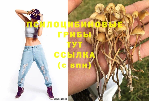 Альфа ПВП Магас