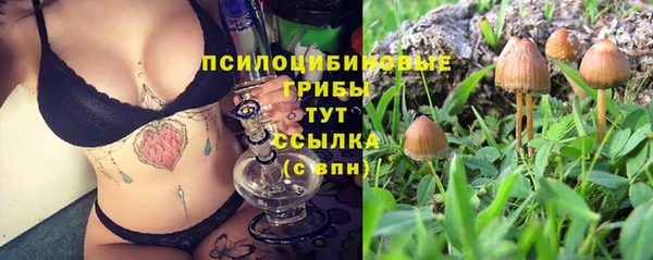 ГАЛЛЮЦИНОГЕННЫЕ ГРИБЫ Абдулино
