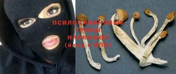 ГАЛЛЮЦИНОГЕННЫЕ ГРИБЫ Абдулино
