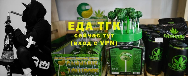 гидра Абаза
