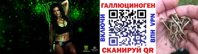 Псилоцибиновые грибы Magic Shrooms  Хасавюрт 